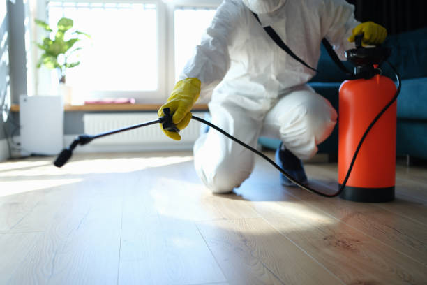 Reliable Odor Removal contractor in Augusta, ME by Trauma Clean Pros
